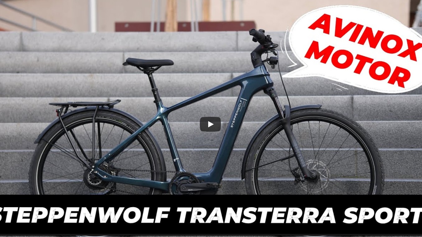 STEPPENWOLF promo video